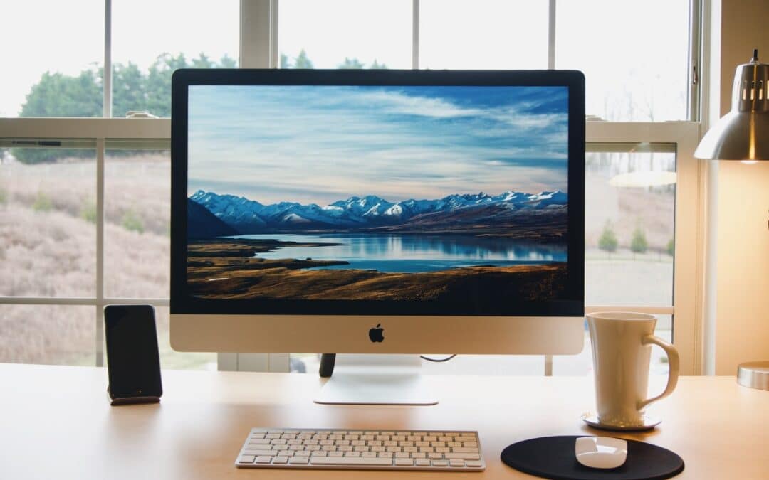Google Ads oder SEO – Was lohnt mehr